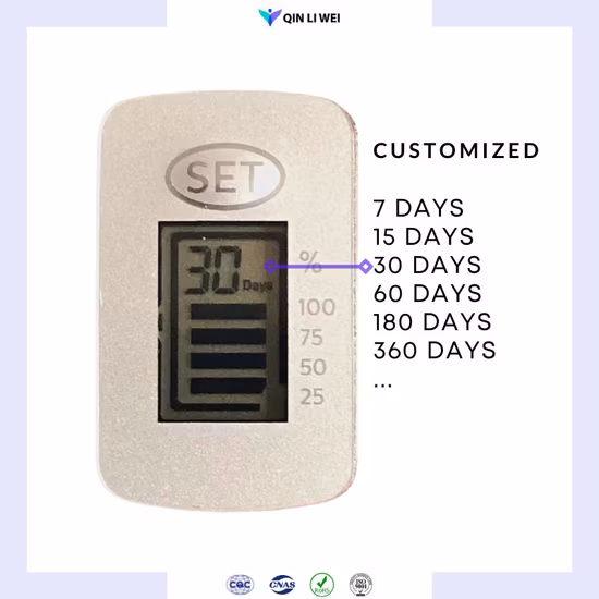 1 Month 30 Days Timer with LCD Display